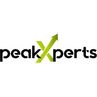 PeakXperts GmbH logo - Similar company to Megatech Communication Gmbh