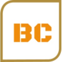 Blitz Cybersecurity logo - Similar company to Isecuris