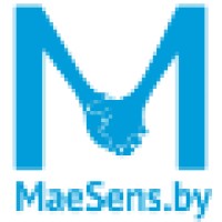 MaeSens / МаеСэнс logo - Similar company to Techspire Llc.