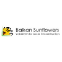 Balkan Sunflowers