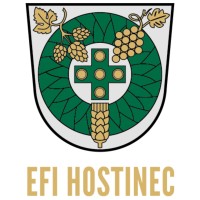 EFI HOSTINEC logo - Similar company to Efi Hotels