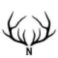 Norfolkhawker