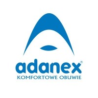 Adanex logo - Similar company to Hellmann Express Services Bv - Direct Load