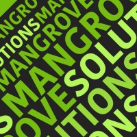 Mangrove Solutions