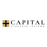 piucapital logo - Similar company to Cbl Electronics