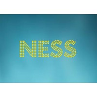 Ness Technology Led Dance Floor logo - Similar company to Blue Sea Lighting