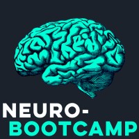 Neuro-Bootcamp logo - Similar company to American Slovenian Education Foundation