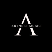 Artnest Music logo - Similar company to Aeronav