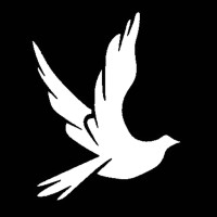 Migrating Minds logo - Similar company to Belancer.Com