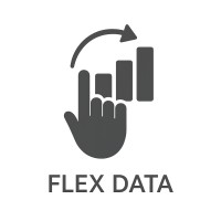 Flex Data Private Limited logo - Similar company to Akula International Llc