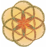 Grupo Plenitude logo - Similar company to Grupo Plenitude