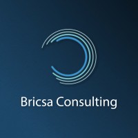 Bricsa Consulting logo - Similar company to Brisca