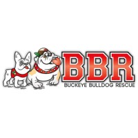 Buckeye Bulldog Rescue logo - Similar company to Resilience Group, Llc