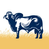 Copley Pastoral logo - Similar company to Rissington