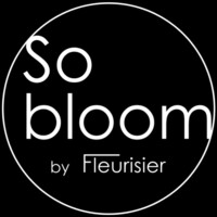 So Bloom logo - Similar company to So'Bloo