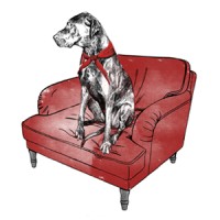 DNG Interiors logo - Similar company to Boréal Yachts