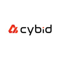 Cybid_D_R logo - Similar company to Aisp - Ai Traffic Solutions!