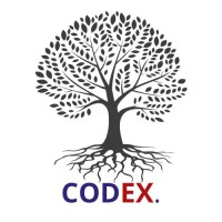 CODEX Consulting. logo - Similar company to Codex Consulting