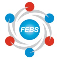 FEBS logo - Similar company to Febs Junior Section