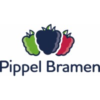 Pippel Bramen B.V. logo - Similar company to Van Hattum Infra