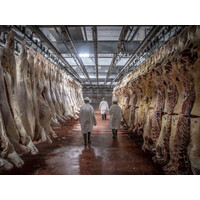 Frozen Chicken parts for sale logo - Similar company to Cibo S.A