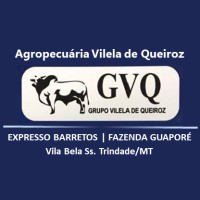 Agropecuária Vilela de Queiroz Ltda logo - Similar company to Tico Alimentos