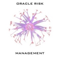 Oracle Risk Management logo - Similar company to Probe-Rts