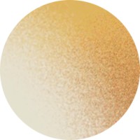 Work with Lizzie Azzolino logo - Similar company to Braintypes