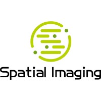 Spatial Imaging Pty Ltd logo - Similar company to Sane Asia