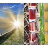 All Cool Renewables (ACR) logo - Similar company to Sitkana