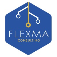 Flexma Consulting SRL logo - Similar company to Digital Artisans