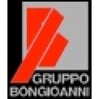 Gruppo Bongioanni spa logo - Similar company to Dalmasso