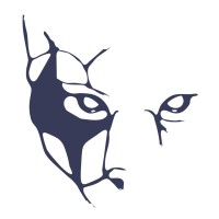 TechCato logo - Similar company to Techlect Business Solution