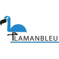 FLAMANBLEU logo - Similar company to Flamineg