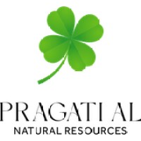 PRAGATI AL NATURAL RESOURCES logo - Similar company to Master In Ai