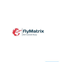 Flymatrix logo - Similar company to Flymatics Tech Pvt. Ltd
