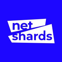 Netshards Entertainment logo - Similar company to Cubic Vfx