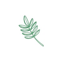 We Talk Money logo - Similar company to Fearless Foundry