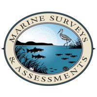 Marine Surveys & Assessments
