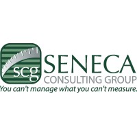 Seneca Consulting Group logo - Similar company to Seneca Solutions