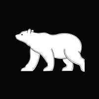 Bear Radio logo - Similar company to Lupo S.R.L.