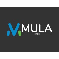 MulaFinex Technology logo - Similar company to Shenzhen Okview Technology Co.,Limited