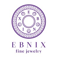 EBNIX logo - Similar company to Change Starters