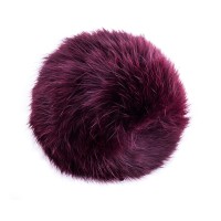 Plum Films logo - Similar company to Monkey Video Production