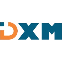 DXM Consultoria logo - Similar company to Luksoft Tecnologia E Sistemas Ltda