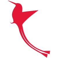 Racketail Solutions logo - Similar company to Ginger Erp