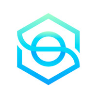Synergee Consulting LLC logo - Similar company to Nxtmoves