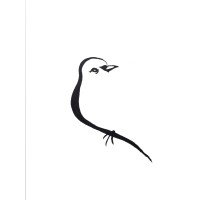Phoebe Communications, LLC logo - Similar company to Quantum Vision Consulting