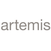 The Artemis Group Consulting, LLC logo - Similar company to Jb Solutions Llc