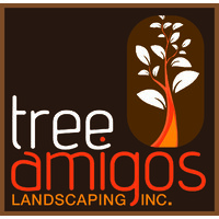 Tree Amigos Landscaping inc